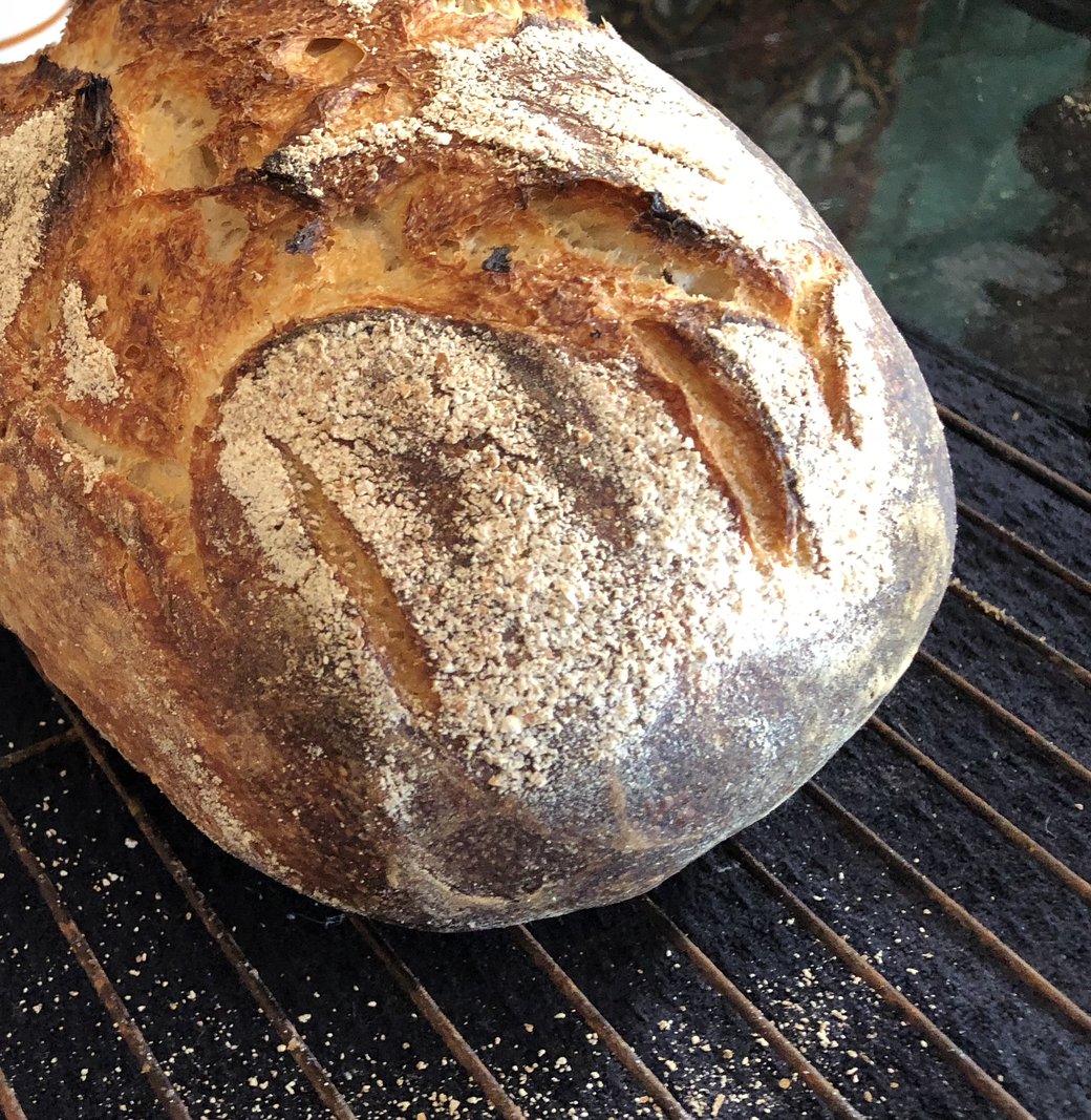 A golden, crackly-crusted sourdough boule dusted with flour, cooling on a wire rack